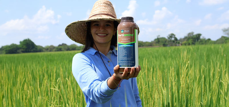 Mujer sostiene el fertilizante FERTIAMINO de Crecer Cultivos en un cultivo de arroz en los Llanos Orientales