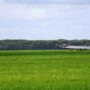 Guía práctica para mezclas homogéneas agrícolas