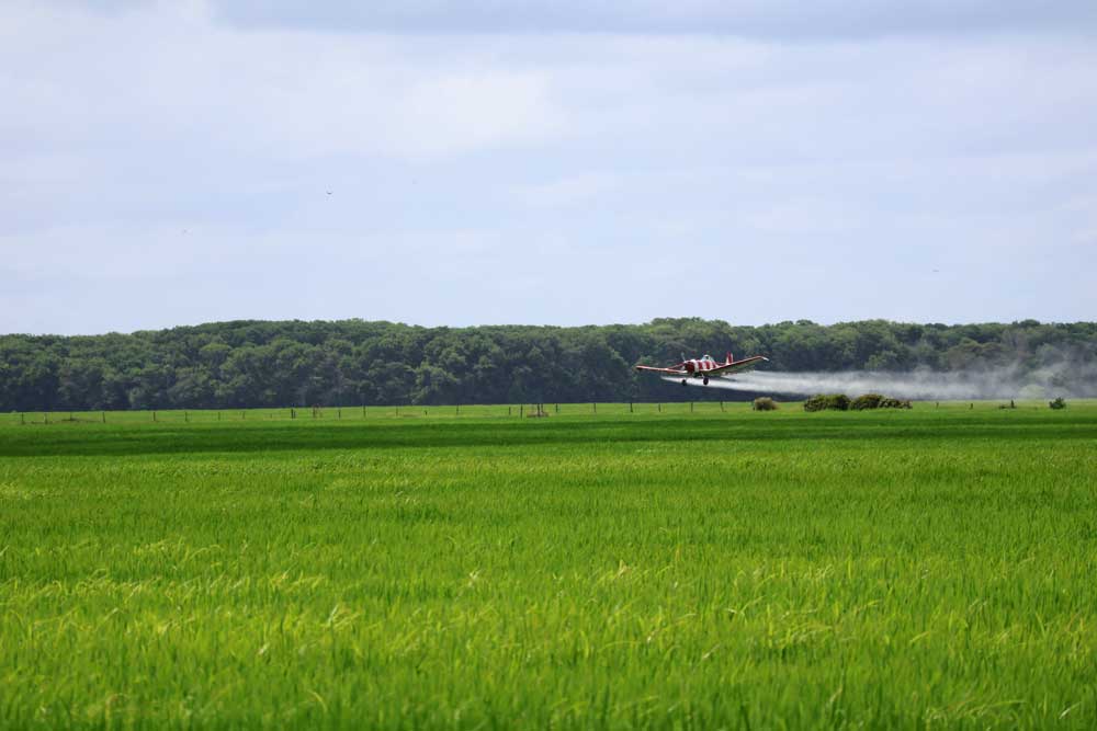 Guía práctica para mezclas homogéneas agrícolas