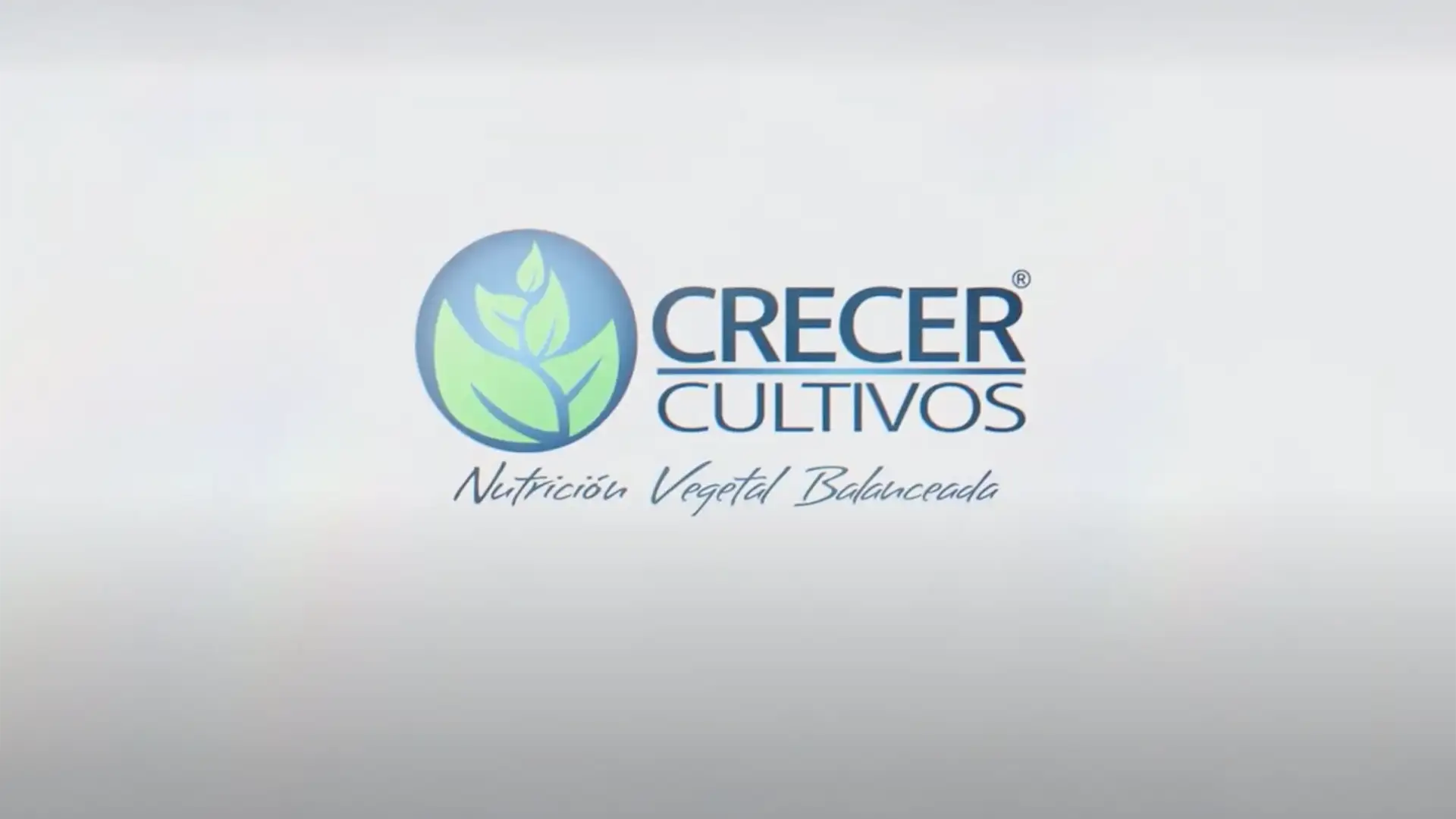 Imagen previa del video de Omar Sánchez, agricultor de arroz en Pachaquiaro, sobre los resultados de Starfos de Crecer Cultivos.