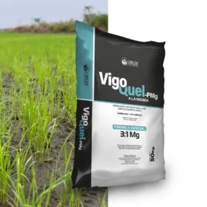VigoQuel-PMg a la medida